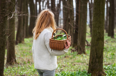 Livskvalitet, mående och träning i klimakteriet