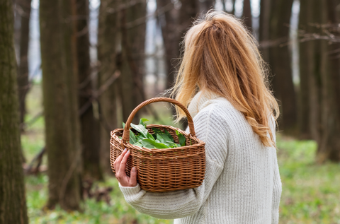 Livskvalitet, mående och träning i klimakteriet